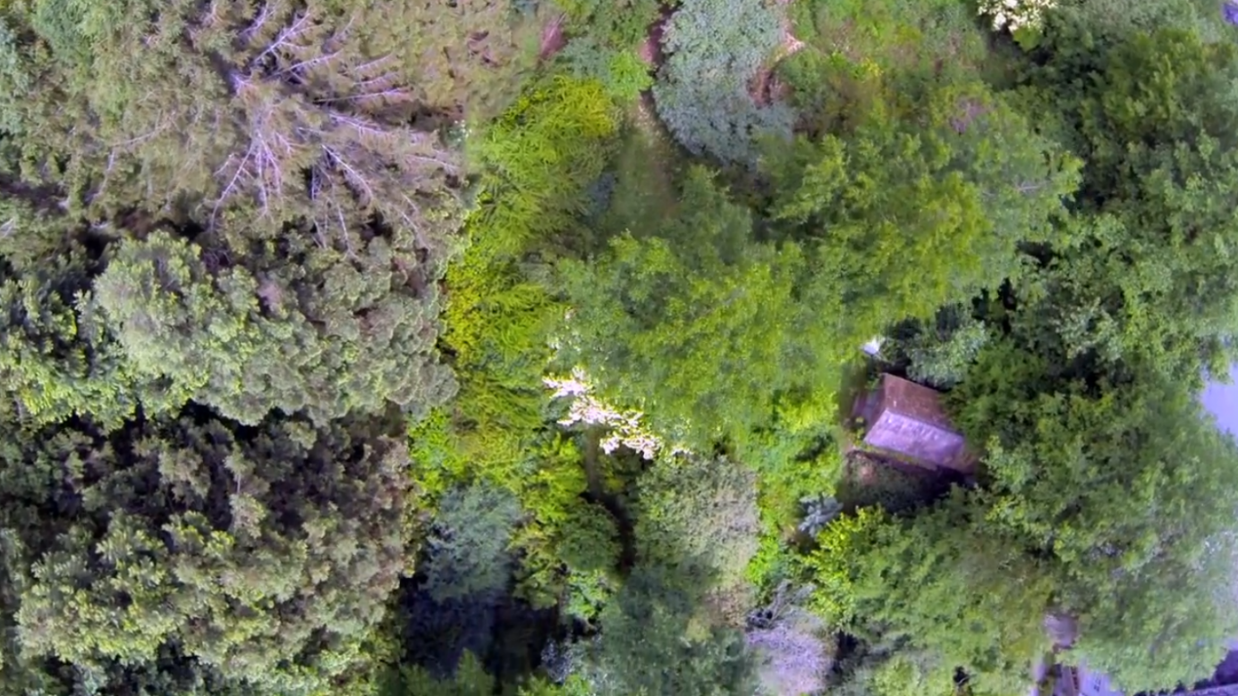 Jardin-forêt et Agroforesterie