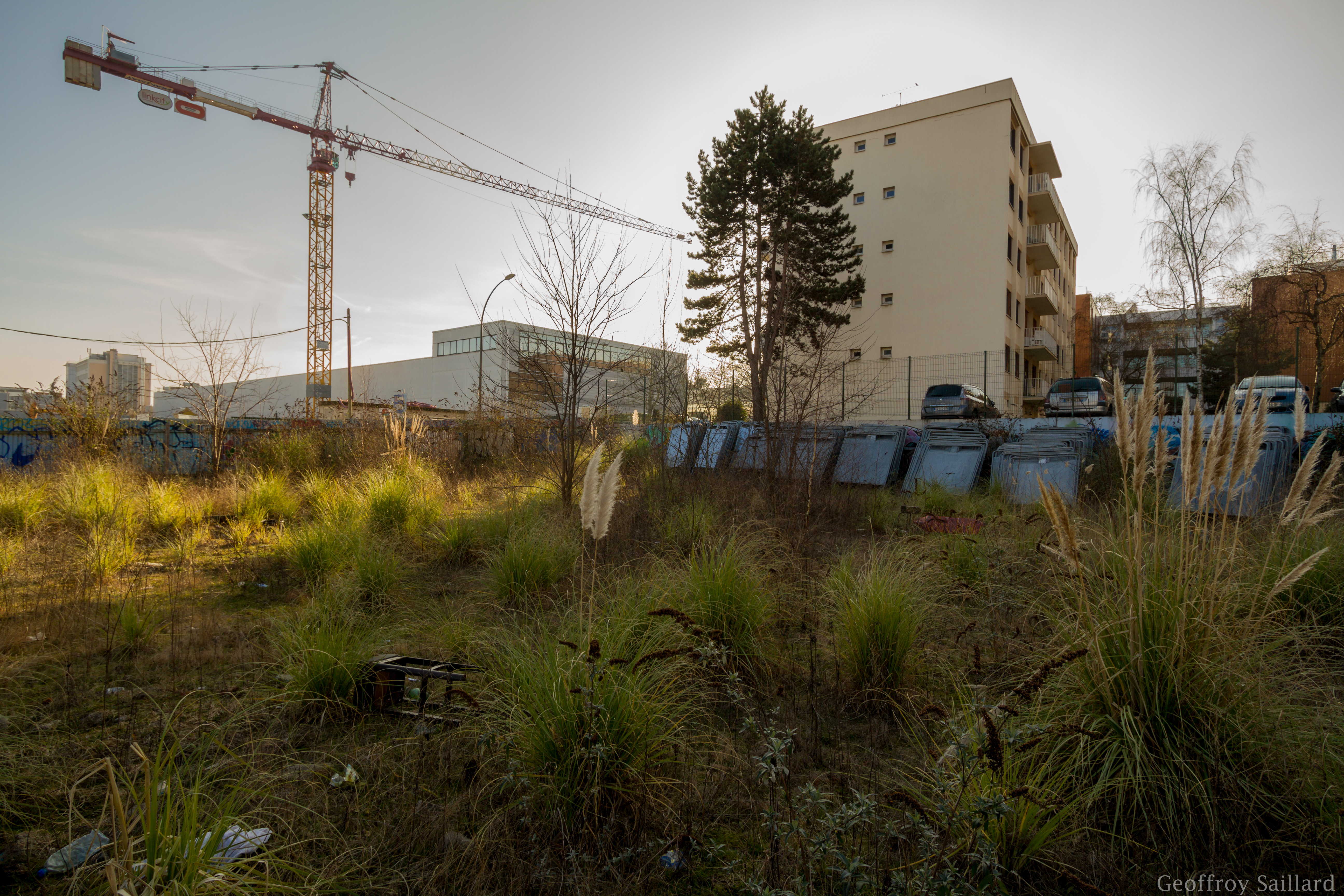 Observer la nature, son adaptation urbaine