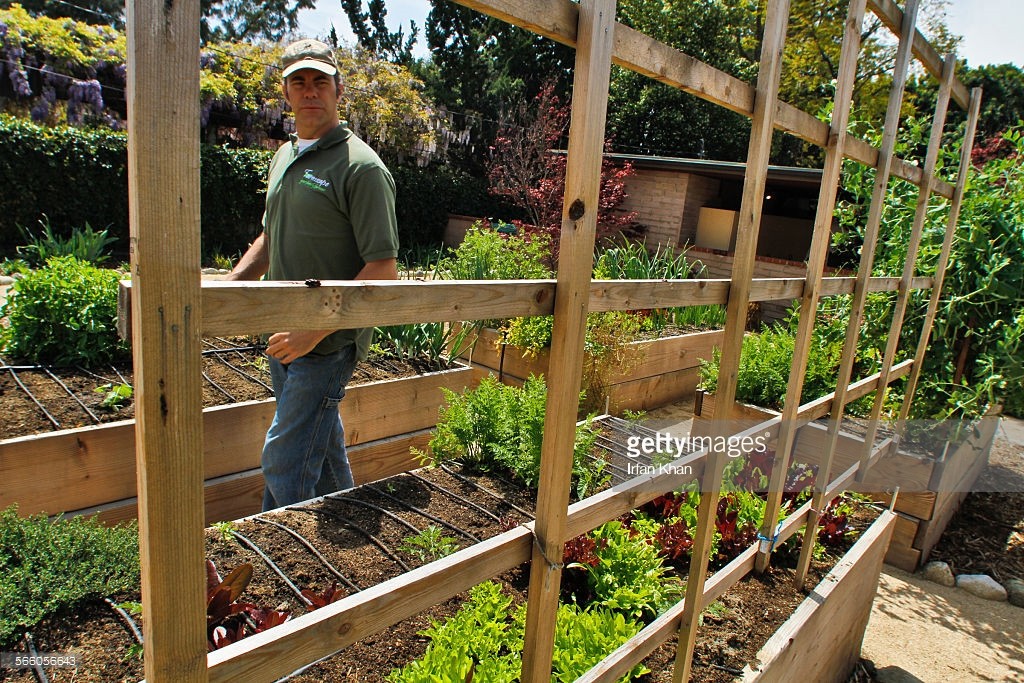 Todd Lininger (Cq), de Farmscape, parcourt une microferme (jardin comestible d'un particulier) dans l'arrière-cour de la maison à Claremont