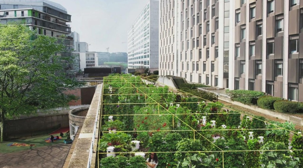 Jardin sur toits pourvus de colonnes de cultures pour un accès plus facile en complément de carrés de cultures surélevés