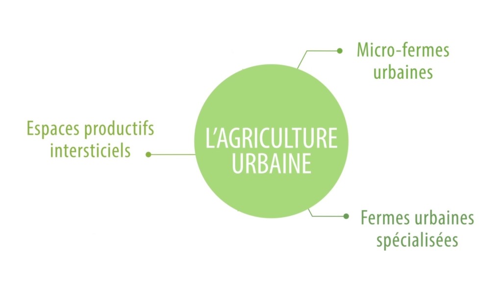 Differentes-formes_agri-urbaine_Cerema