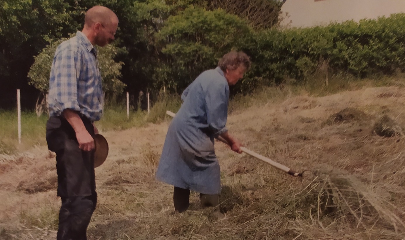 Retour au réel #3 – Dans le potager de tes grands-parents : activité de #confinement