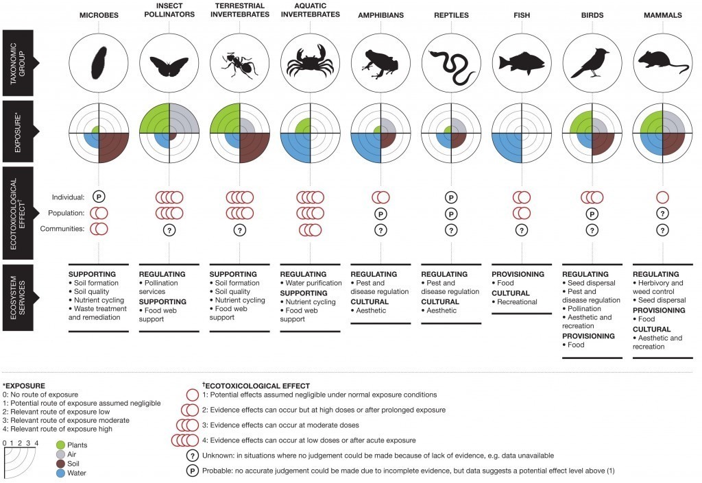 0_TFSP_infographic_complete_artwork-2-1024x705