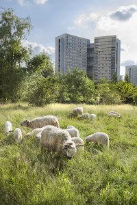 La Campagne  la ville