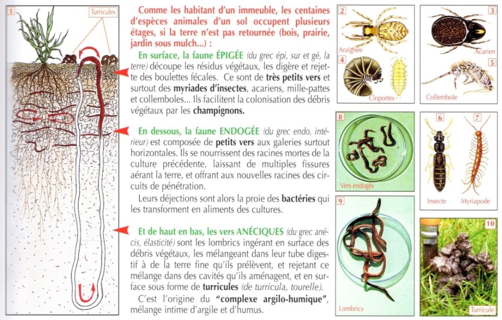 Guide du nouveau jardinage de Dominique Soltener