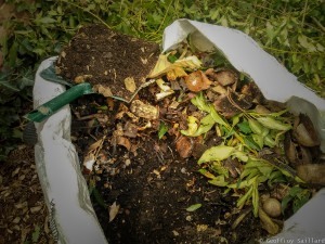 Article-compost-2020-2