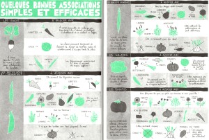 Une règle: Avant de penser les associations allopathiques, on préfère les associations physiques.