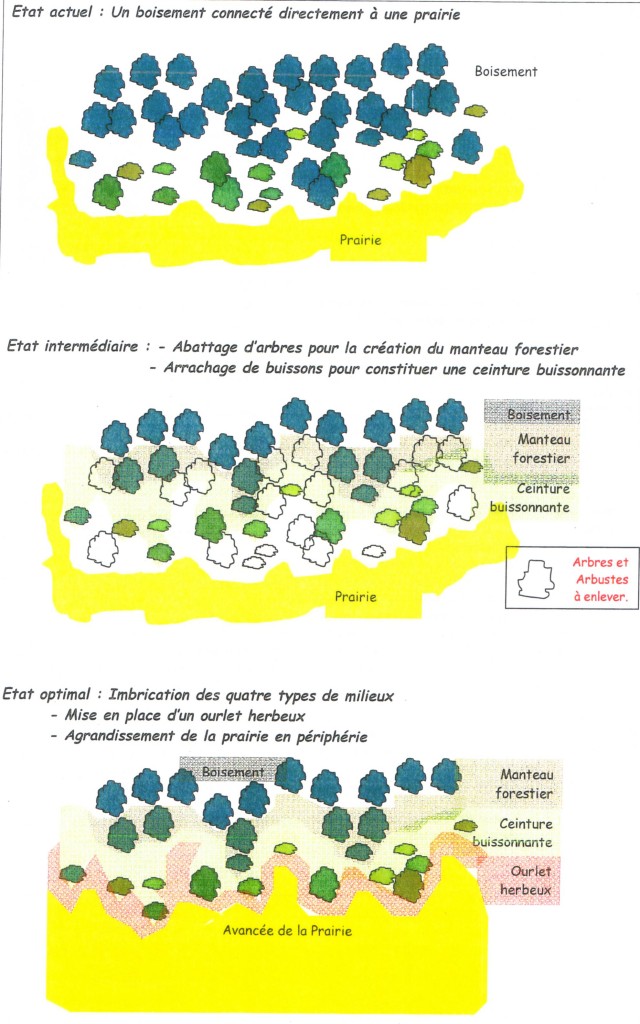 Gestion-differencie_2