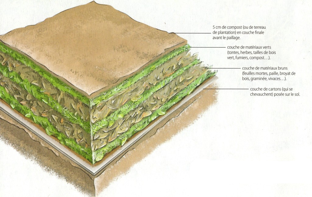 Matériaux pour une culture en lasagne_©Terre-vivante_HS.16 