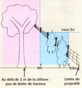 Règles de plantation