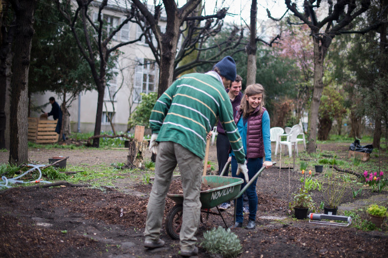 Activités-potager:solidaire&partagé_APA©